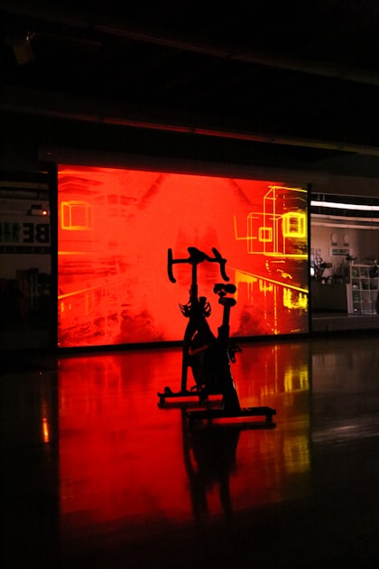 The Role of Data in Gym Management